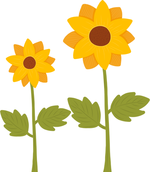 Hand Drawn Sunflowers