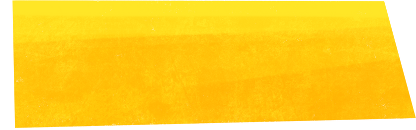 Yellow Decorative Quadrilateral