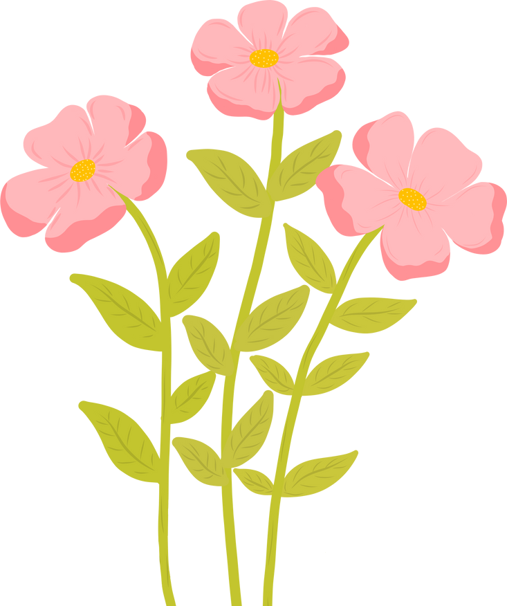 Cosmos Flowers Illustration